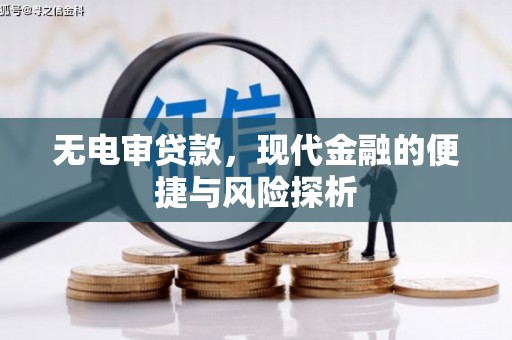 淡水无电审贷款，现代金融的便捷与风险探析