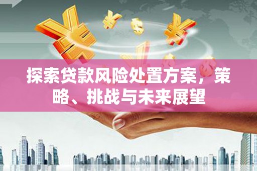 淡水探索贷款风险处置方案，策略、挑战与未来展望
