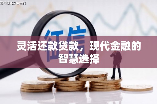 淡水灵活还款贷款，现代金融的智慧选择