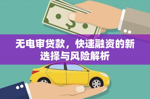 淡水无电审贷款，快速融资的新选择与风险解析