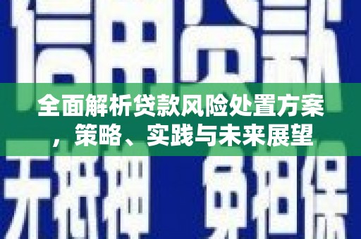 淡水全面解析贷款风险处置方案，策略、实践与未来展望