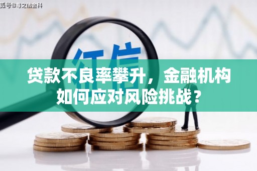 淡水贷款不良率攀升，金融机构如何应对风险挑战？