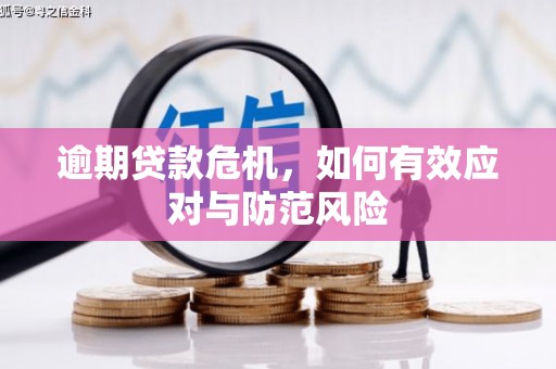 淡水逾期贷款危机，如何有效应对与防范风险