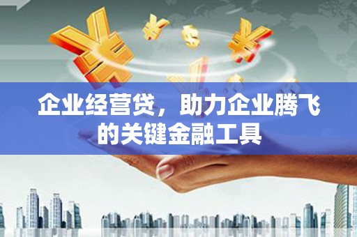 淡水企业经营贷，助力企业腾飞的关键金融工具