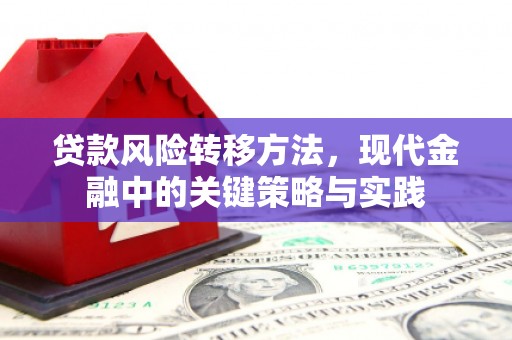 淡水贷款风险转移方法，现代金融中的关键策略与实践