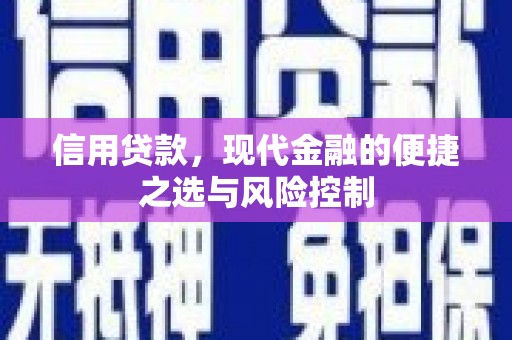 淡水信用贷款，现代金融的便捷之选与风险控制