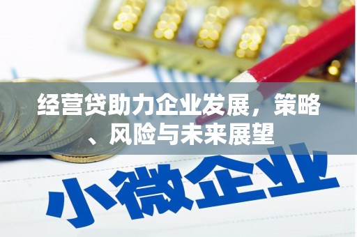 淡水经营贷助力企业发展，策略、风险与未来展望
