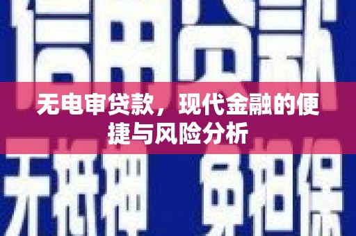淡水无电审贷款，现代金融的便捷与风险分析