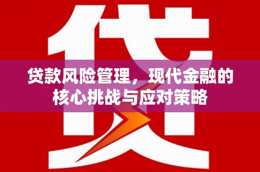 淡水贷款风险管理，现代金融的核心挑战与应对策略