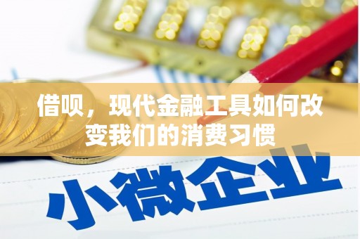 淡水借呗，现代金融工具如何改变我们的消费习惯