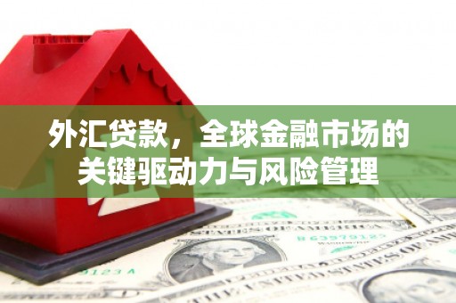 淡水外汇贷款，全球金融市场的关键驱动力与风险管理