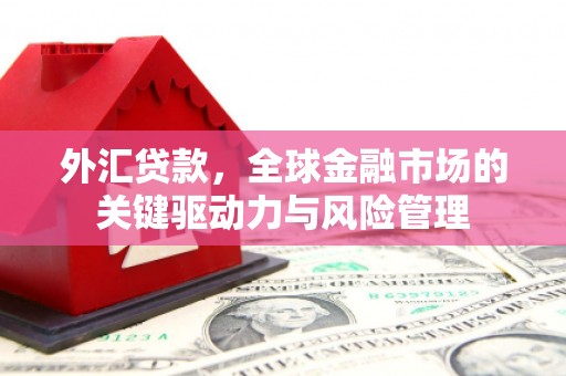 淡水外汇贷款，全球金融市场的关键驱动力与风险管理