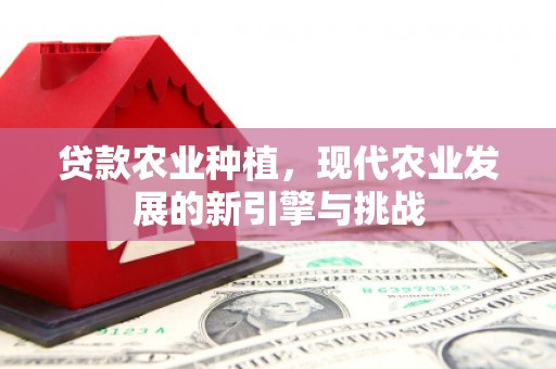 淡水贷款农业种植，现代农业发展的新引擎与挑战