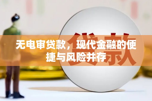 淡水无电审贷款，现代金融的便捷与风险并存