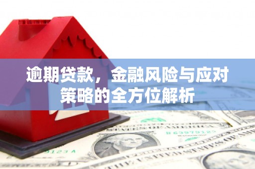 淡水逾期贷款，金融风险与应对策略的全方位解析