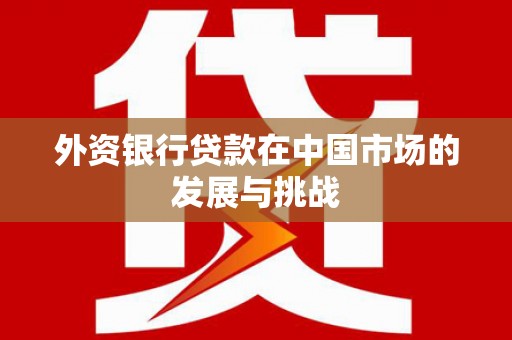 淡水外资银行贷款在中国市场的发展与挑战