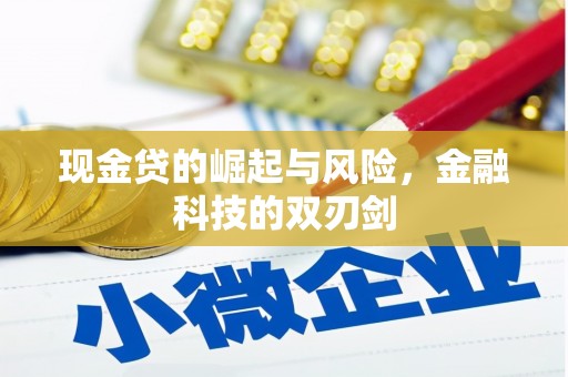 淡水现金贷的崛起与风险，金融科技的双刃剑