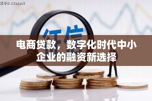 淡水电商贷款，数字化时代中小企业的融资新选择