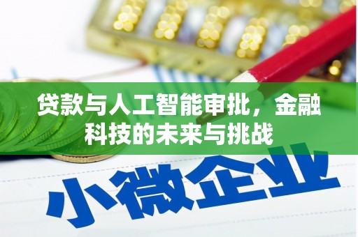 淡水贷款与人工智能审批，金融科技的未来与挑战