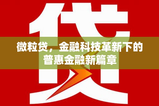 淡水微粒贷，金融科技革新下的普惠金融新篇章