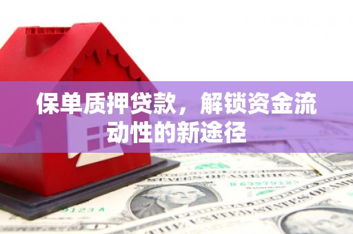 淡水保单质押贷款，解锁资金流动性的新途径