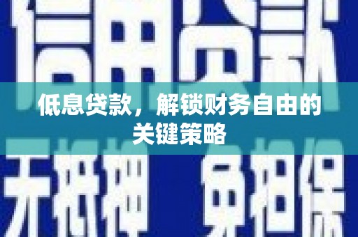 淡水低息贷款，解锁财务自由的关键策略