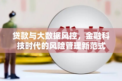 淡水贷款与大数据风控，金融科技时代的风险管理新范式