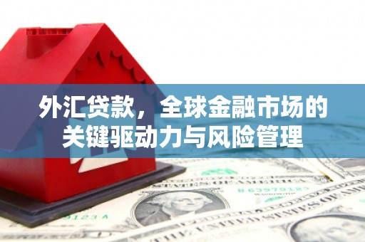 淡水外汇贷款，全球金融市场的关键驱动力与风险管理