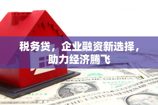 淡水税务贷，企业融资新选择，助力经济腾飞