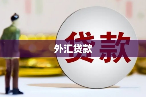 淡水外汇贷款