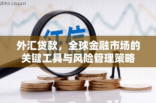 淡水外汇贷款，全球金融市场的关键工具与风险管理策略