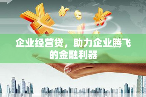 淡水企业经营贷，助力企业腾飞的金融利器