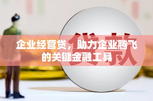 淡水企业经营贷，助力企业腾飞的关键金融工具