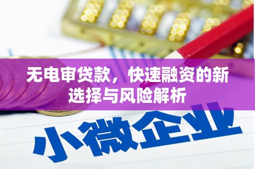 淡水无电审贷款，快速融资的新选择与风险解析