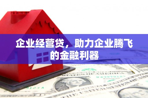 淡水企业经营贷，助力企业腾飞的金融利器