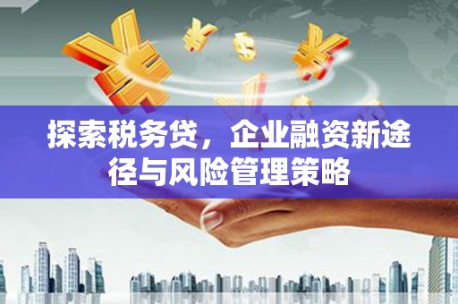 淡水探索税务贷，企业融资新途径与风险管理策略