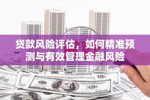 淡水贷款风险评估，如何精准预测与有效管理金融风险