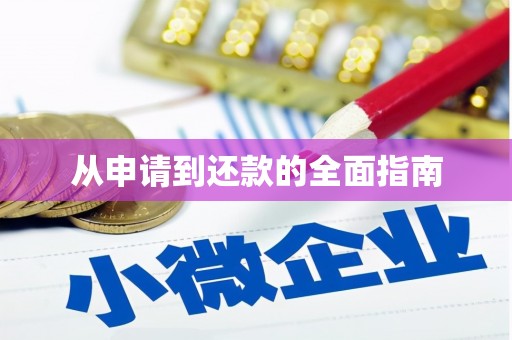 淡水从申请到还款的全面指南