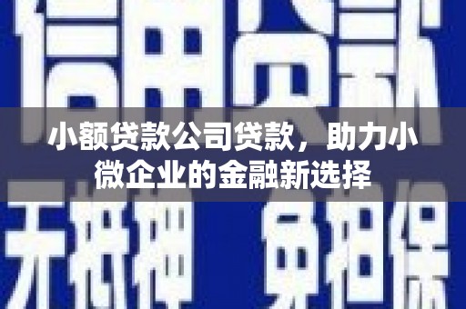 淡水小额贷款公司贷款，助力小微企业的金融新选择