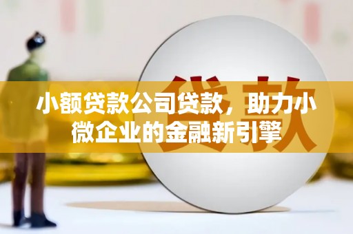淡水小额贷款公司贷款，助力小微企业的金融新引擎