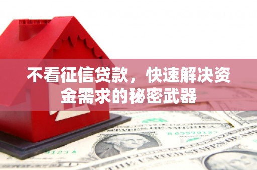 淡水不看征信贷款，快速解决资金需求的秘密武器