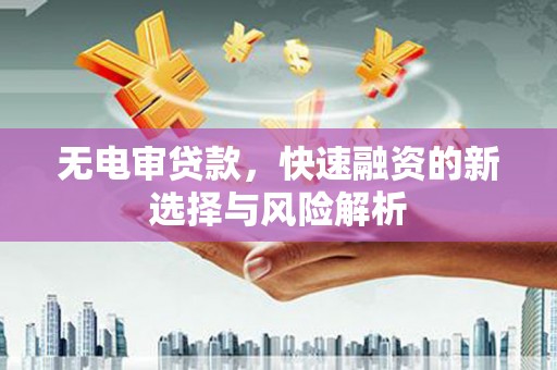 淡水无电审贷款，快速融资的新选择与风险解析