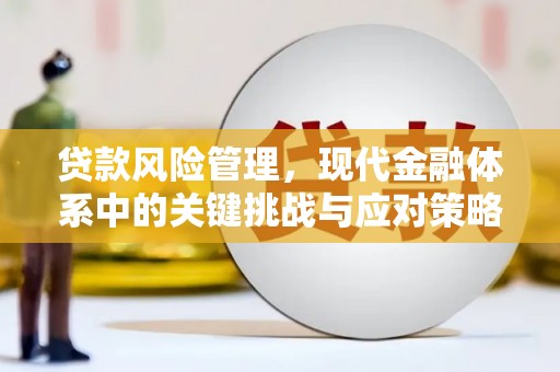 淡水贷款风险管理，现代金融体系中的关键挑战与应对策略