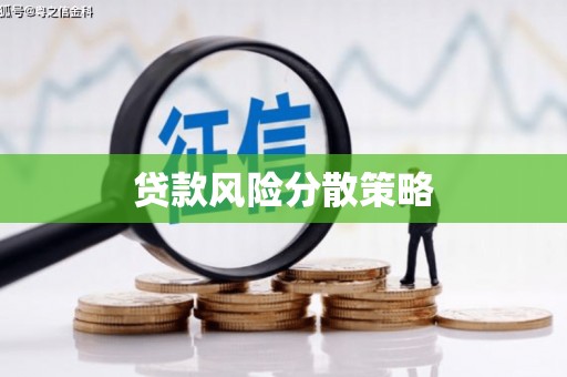 淡水贷款风险分散策略