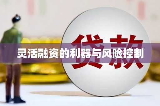 淡水灵活融资的利器与风险控制