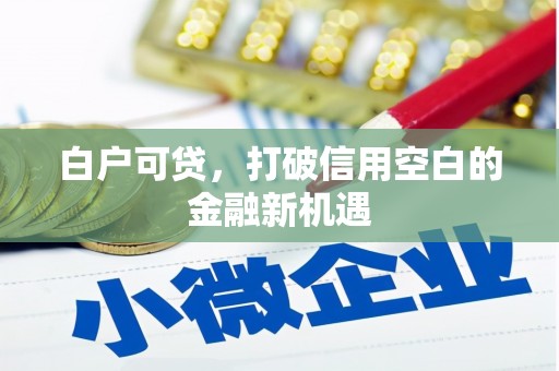 淡水白户可贷，打破信用空白的金融新机遇