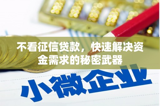 淡水不看征信贷款，快速解决资金需求的秘密武器