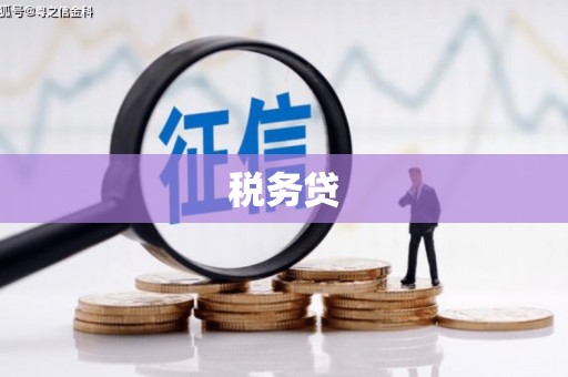 淡水税务贷