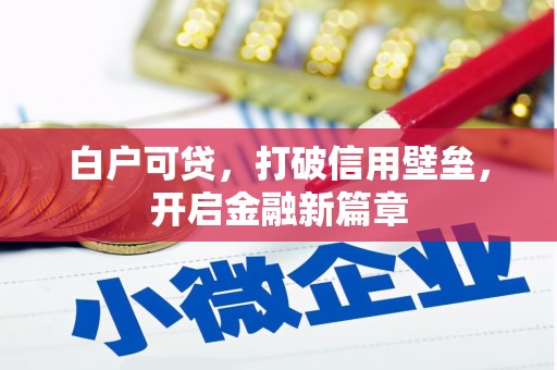 淡水白户可贷，打破信用壁垒，开启金融新篇章