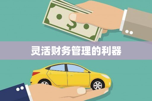 淡水灵活财务管理的利器